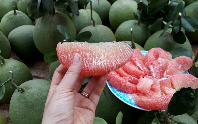 Bưởi da xanh Bình Dương