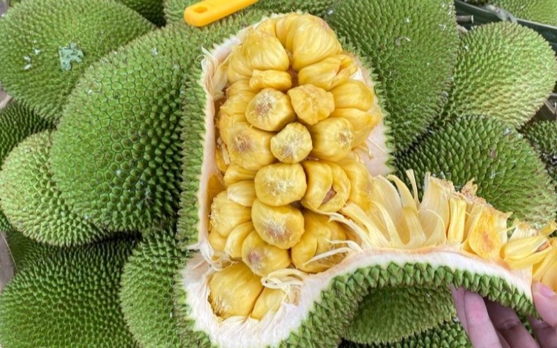 Mít Tố Nữ Bình Dương