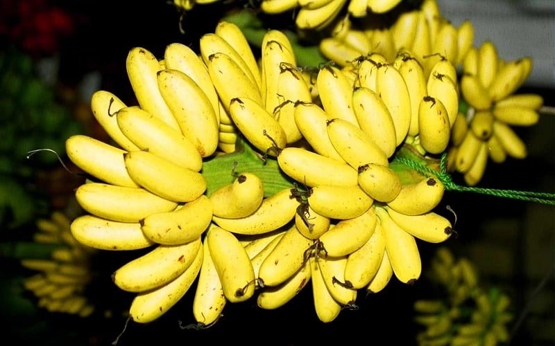 Chuối ngự Đại Hoàng