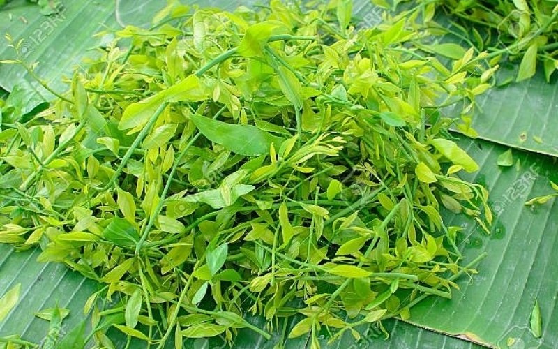 Rau sắn Ba Sao