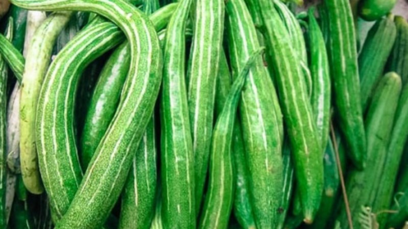 Quả lặc lày