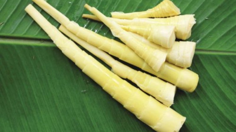 Măng đắng