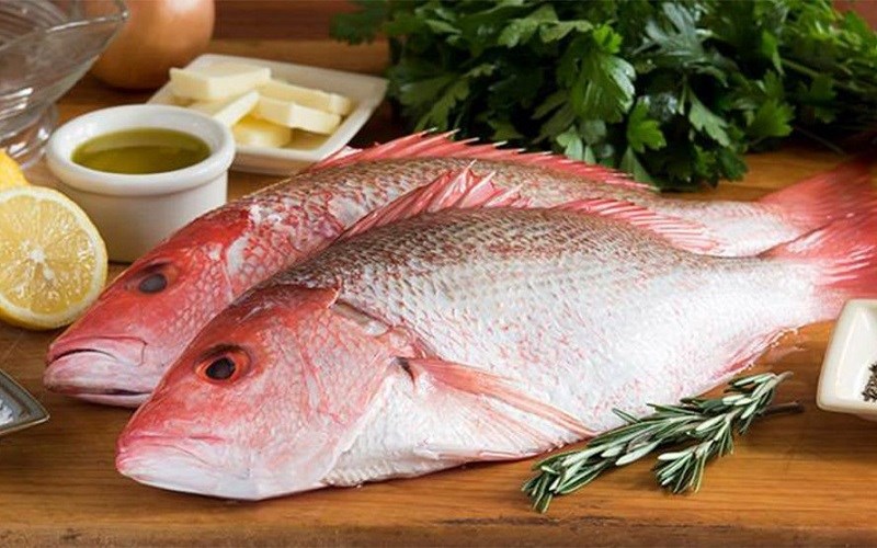 Nhấn vào ảnh để phóng to Các loại cá