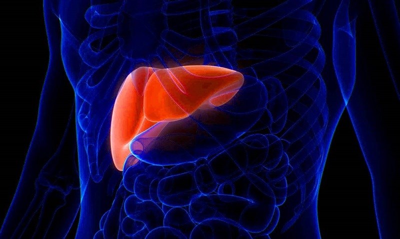 Có lợi cho chức năng gan
