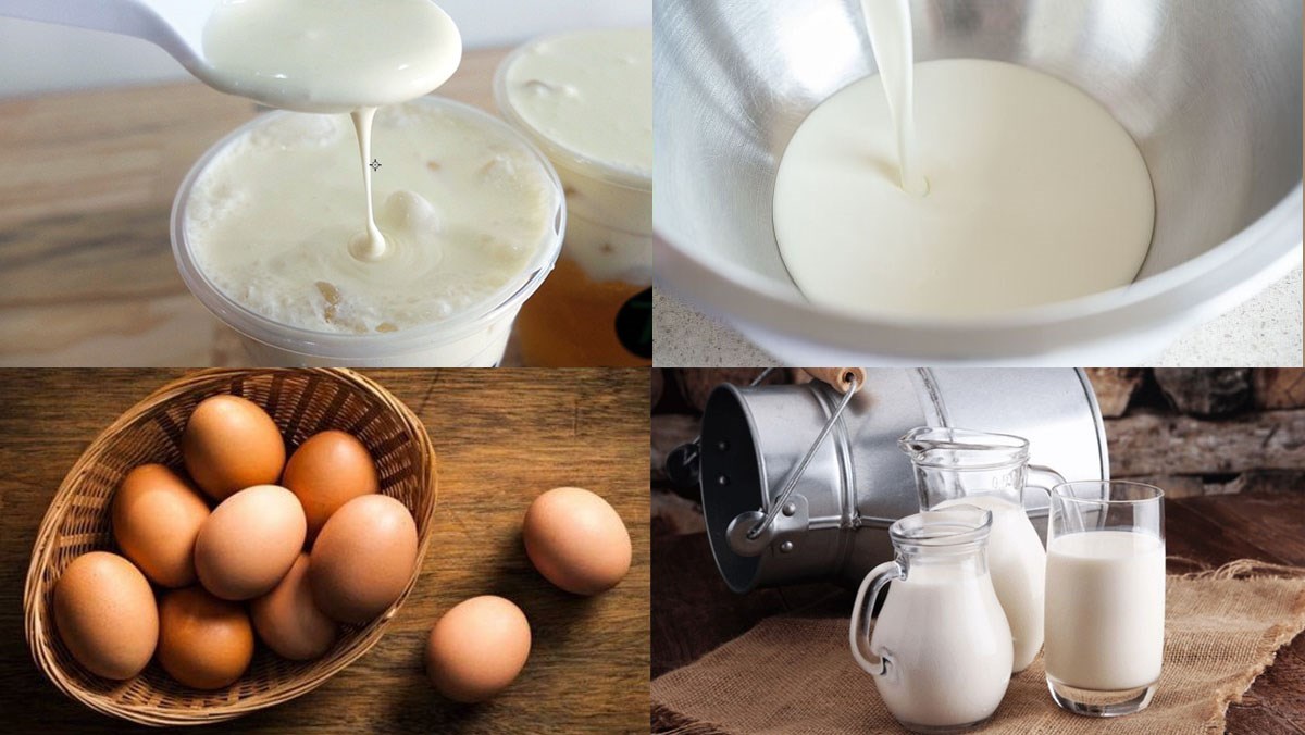 Nguyên liệu làm sữa tươi trân châu đường đen kem trứng
