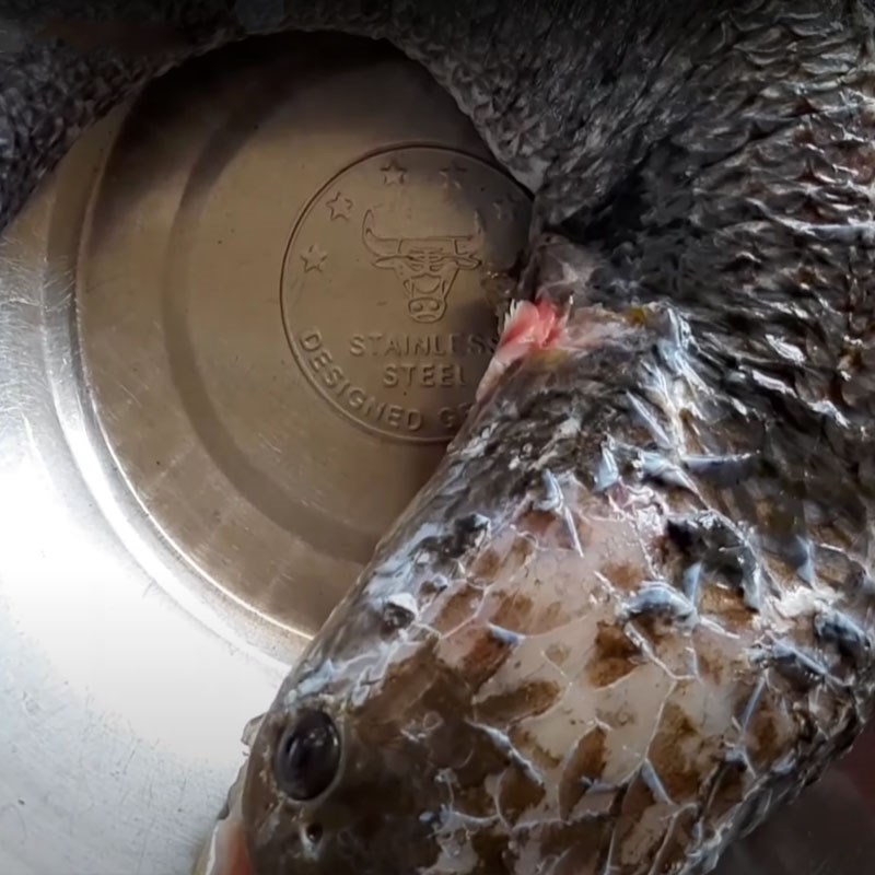 Bước 1 Sơ chế cá lóc Cá lóc hấp nước dừa