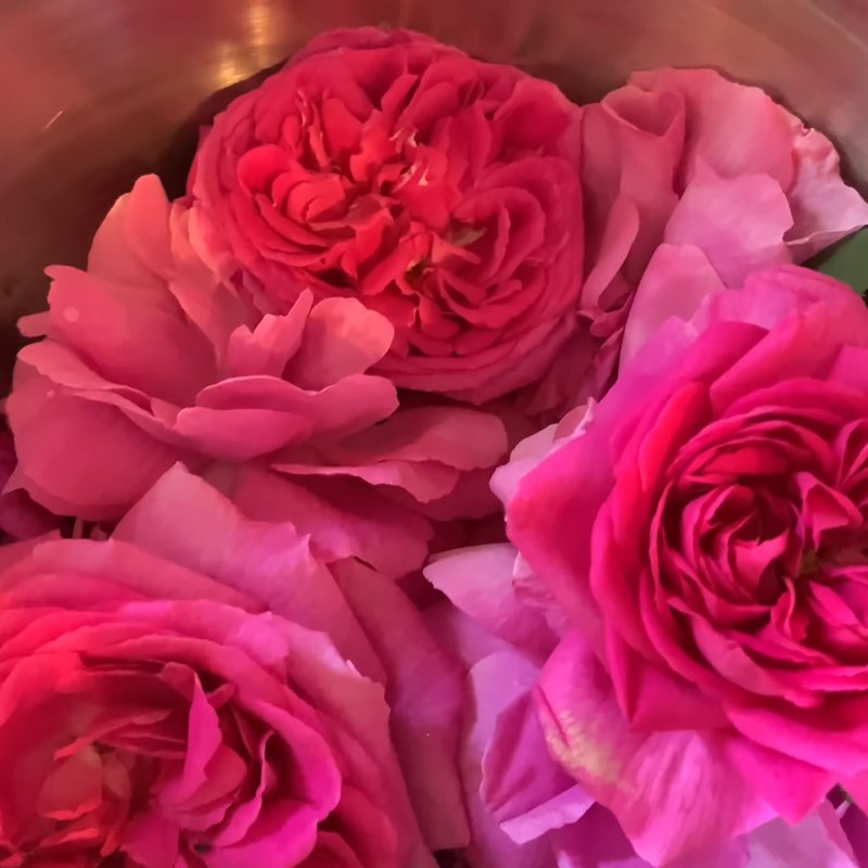 Trà hoa hồng: Khám phá bức tranh về trà hoa hồng, với những bông hoa thơm ngát và sự hoà quyện của hương vị. Thưởng thức trà trong hoàn cảnh này là một trải nghiệm đầy phong cách và sang trọng.
