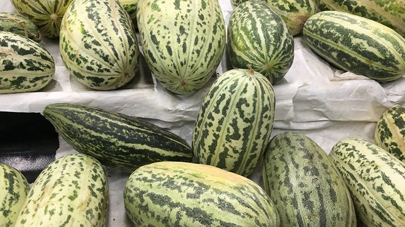 Dưa gang bao nhiêu tiền 1kg?