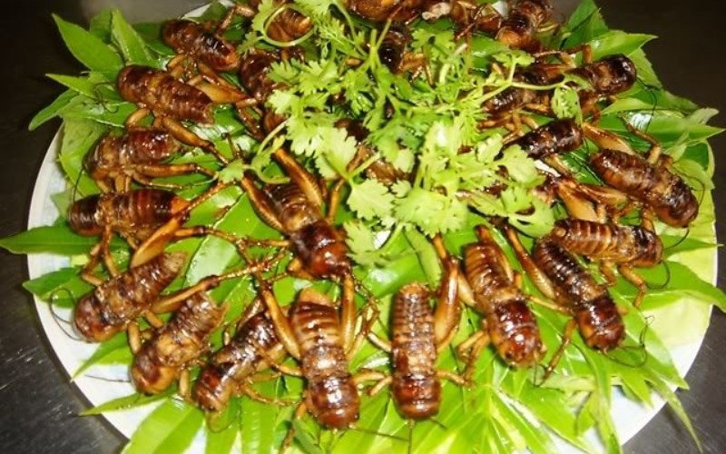 Dế chiên giòn