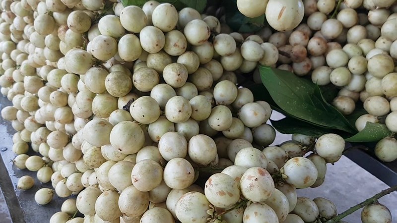 Dâu Hạ Châu