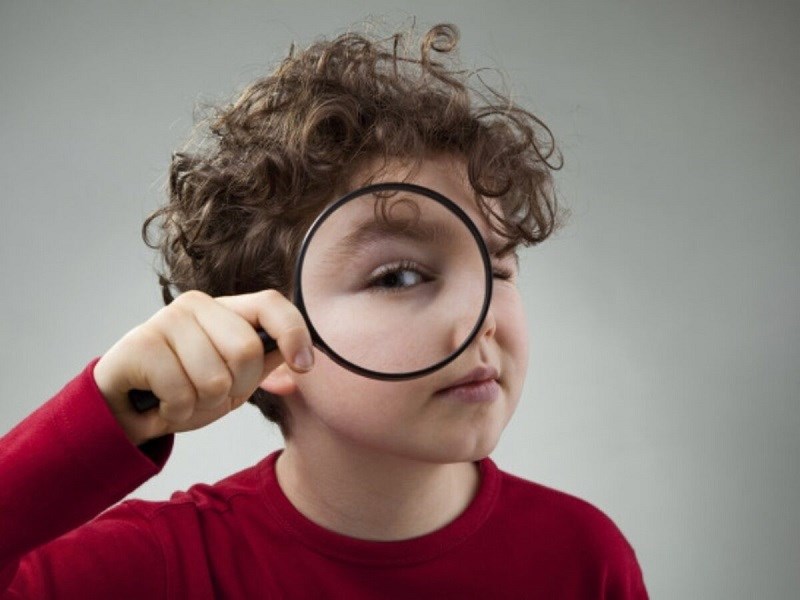 Có thể hỗ trợ sức khỏe cho mắt