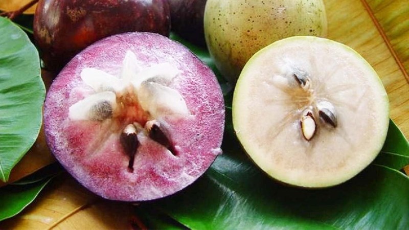 Vú sữa tím Đại Tâm
