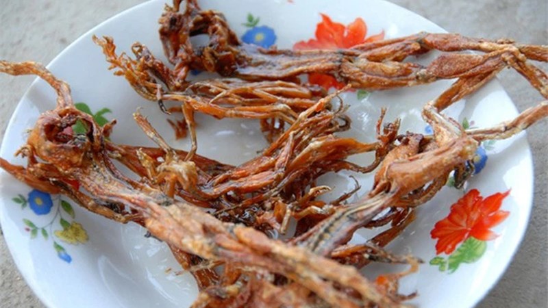 Khô nhái