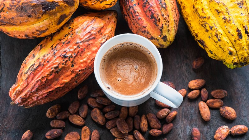 Nên pha bột cacao bằng nước gì?