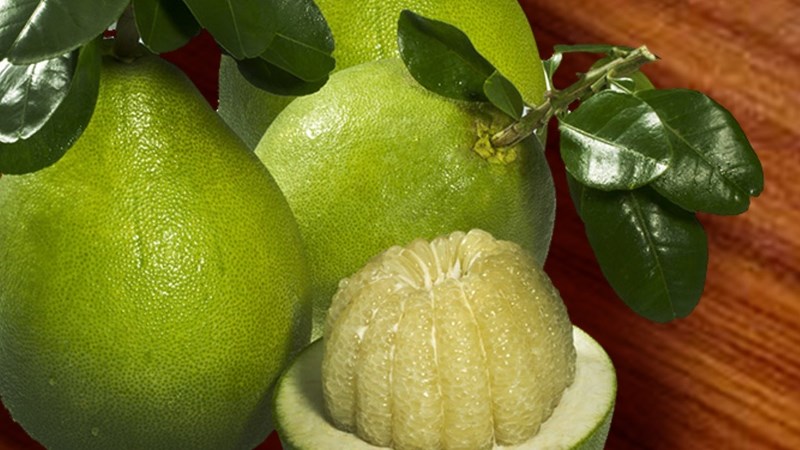 Bưởi năm roi