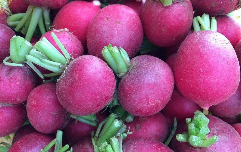 Củ cải Thụy Sỹ