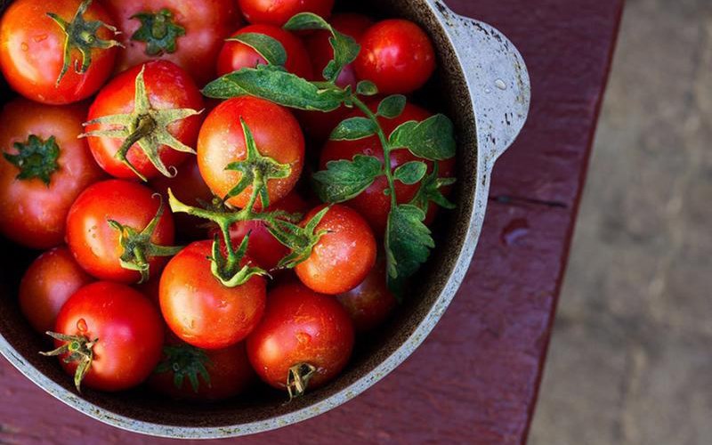 Cà chua và các sản phẩm từ cà chua