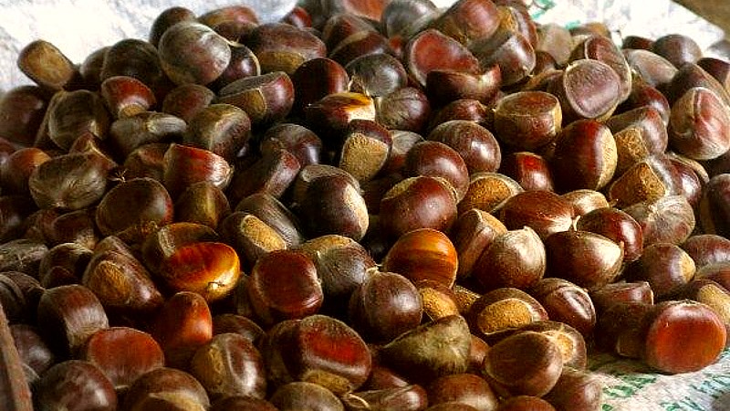 Bảo quản xung quanh nhiệt độ bình thường