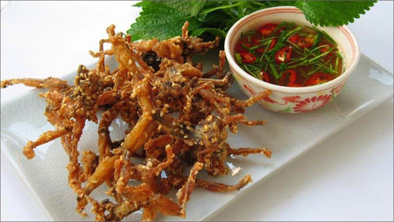 Khô nhái