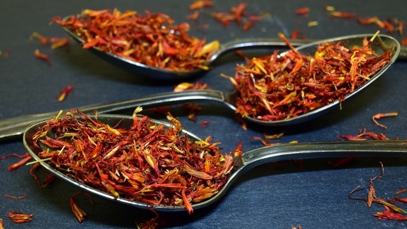 Liều dùng saffron