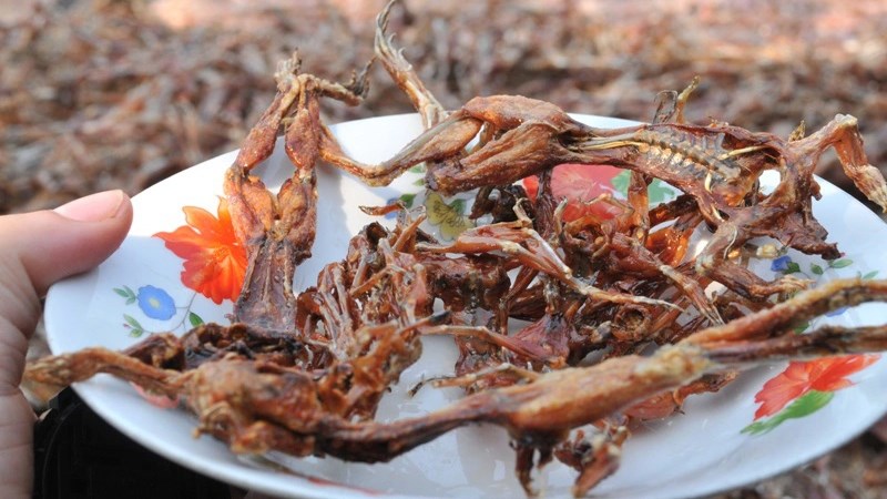 Khô nhái - Vũ nữ chân dài