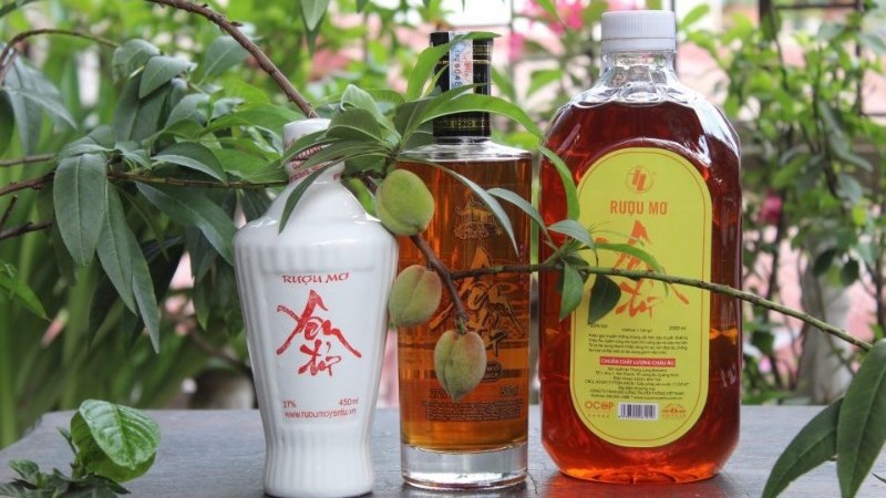 Rượu mơ Yên Tử