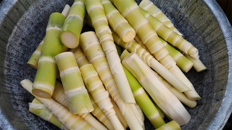 Măng trúc