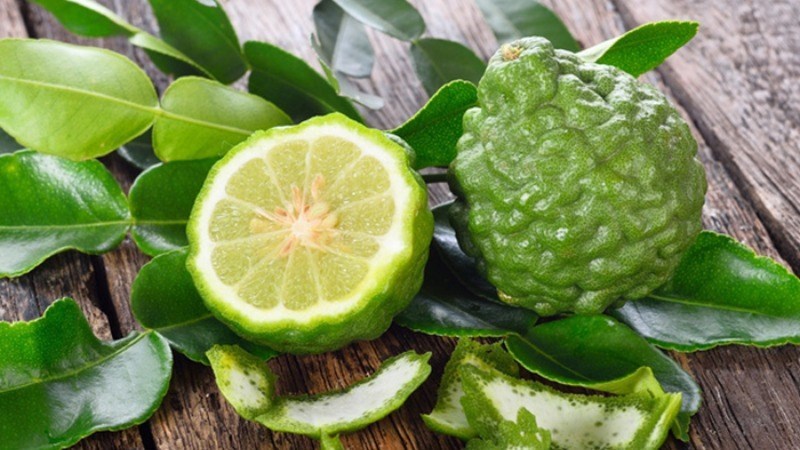 Quả trúc Thất Sơn