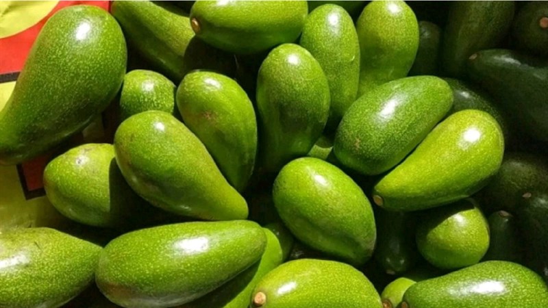 Bơ 