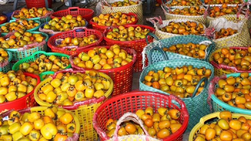 Hồng giòn