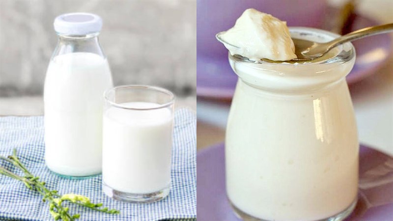 Nguyên liệu món ăn sữa chua hy lạp