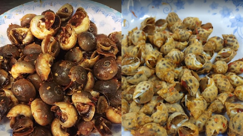 Quán Ốc Tô Xóm Chiếu