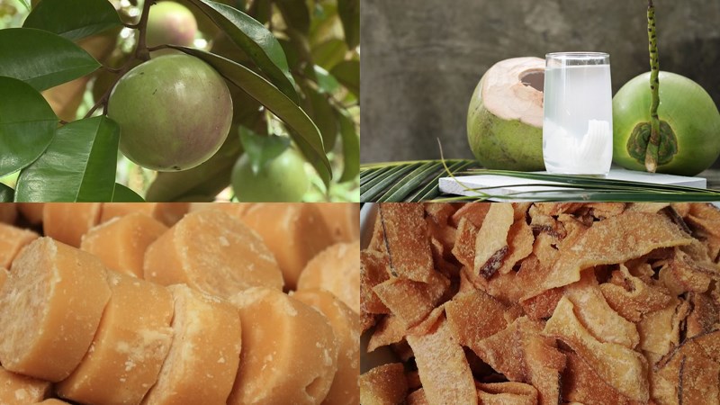 Nguyên liệu món ăn sinh tố vú sữa dừa