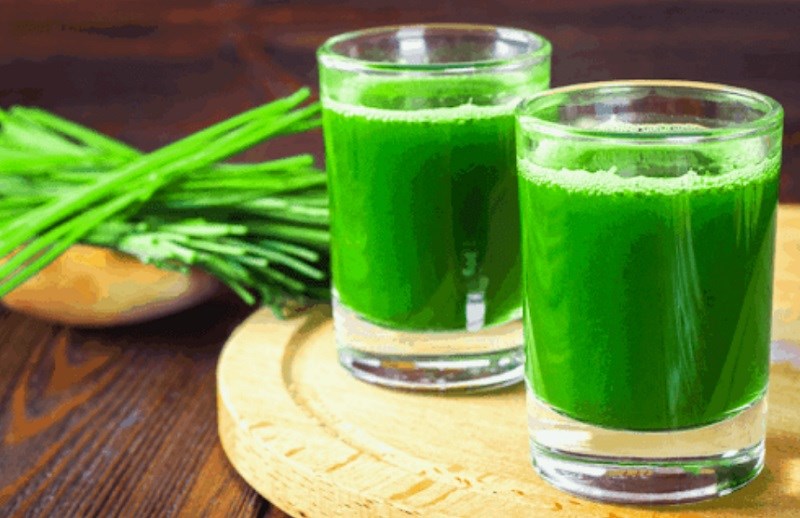 Cỏ lúa mì