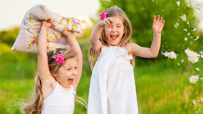 Cây cỏ ngọt tốt cho sức khoẻ của trẻ em