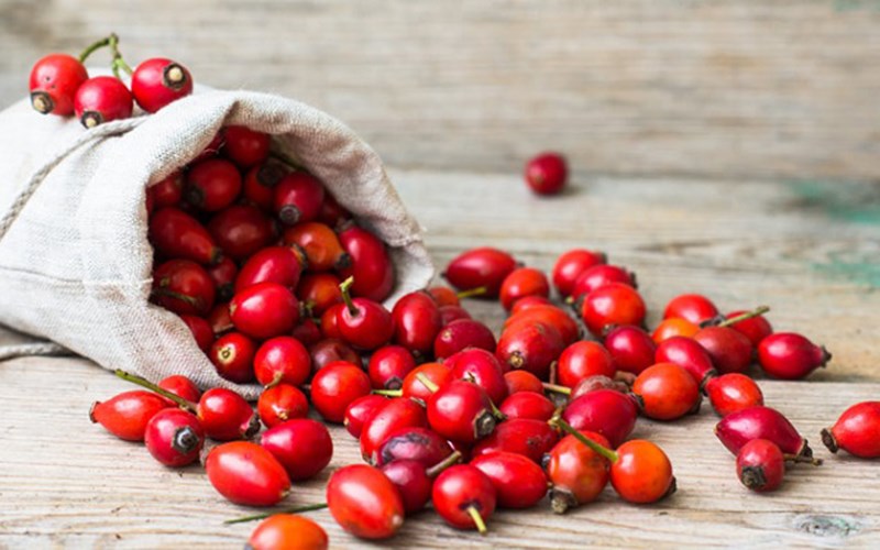 Tác dụng phụ khi sử dụng quả tầm xuân
