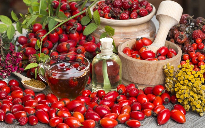 Quả tầm xuân mua ở đâu và giá bao nhiêu? 