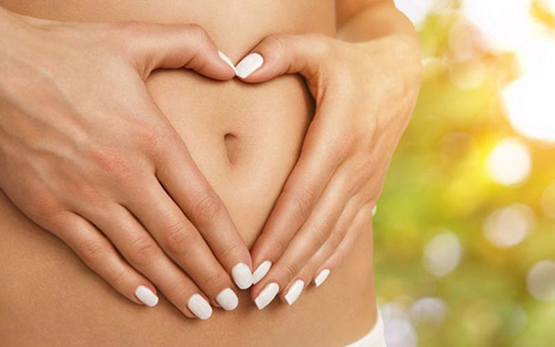 Hỗ trợ hệ tiêu hóa