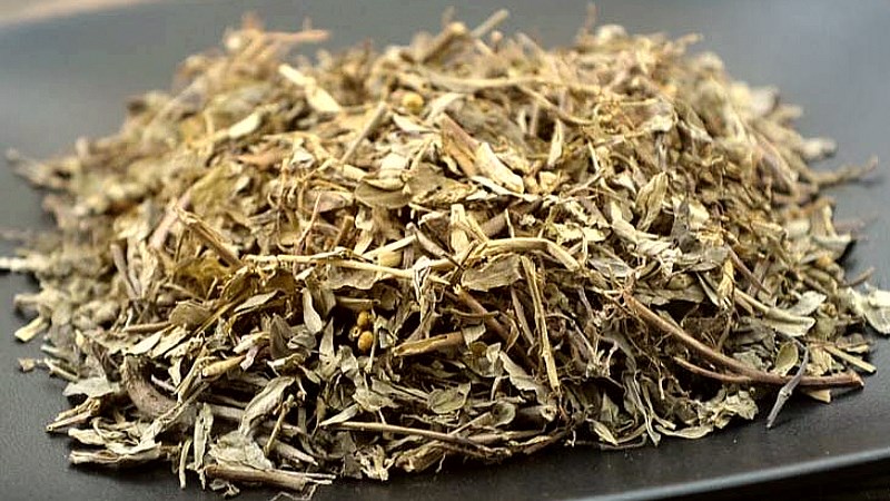Trà dược liệu Diệp Hạ Châu