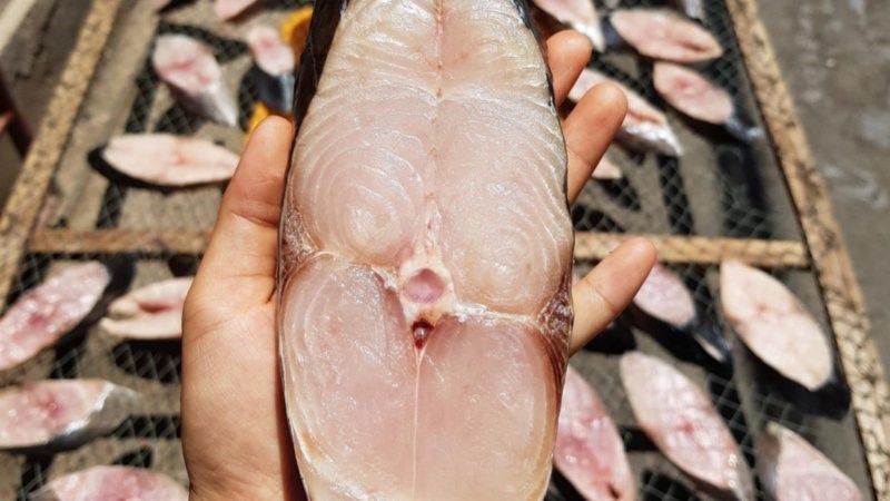 Cá thu một nắng