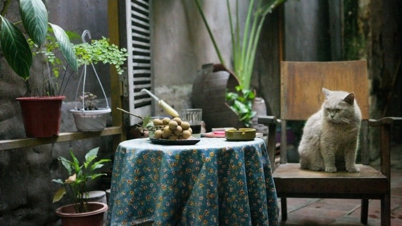 Không gian quán Cafe Cuối Ngõ
