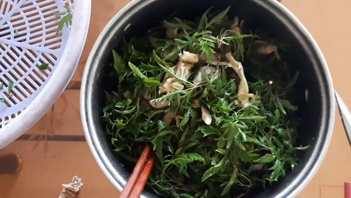 Gỏi đinh lăng