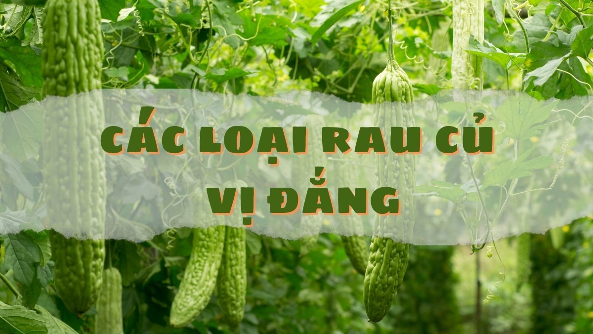 Các loại rau củ vị đắng