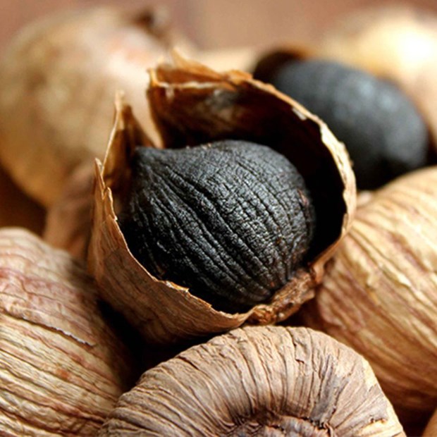 Cách thực hiện tỏi đen