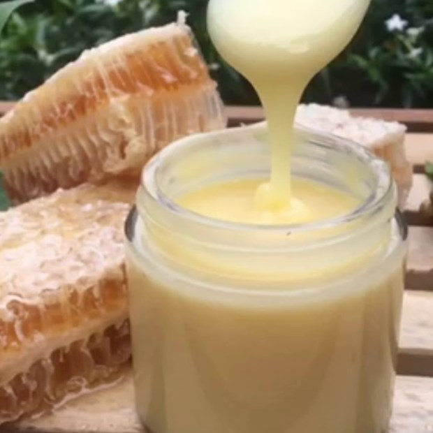 Cách áp dụng sữa ong chúa