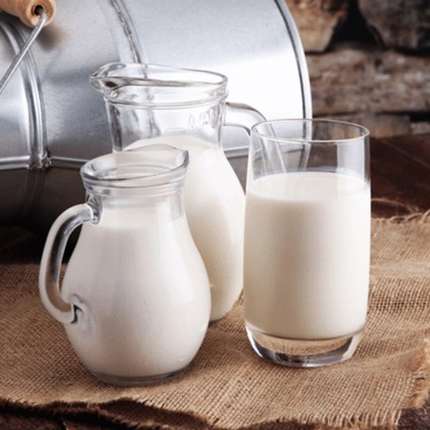 Các loại sữa vỏ hộp phổ biến