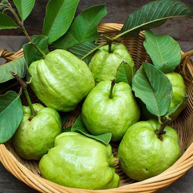 Các loại quả ngâm rượu