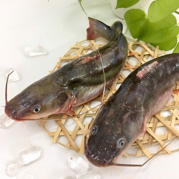 Tổng hợp những loại cá làm chả