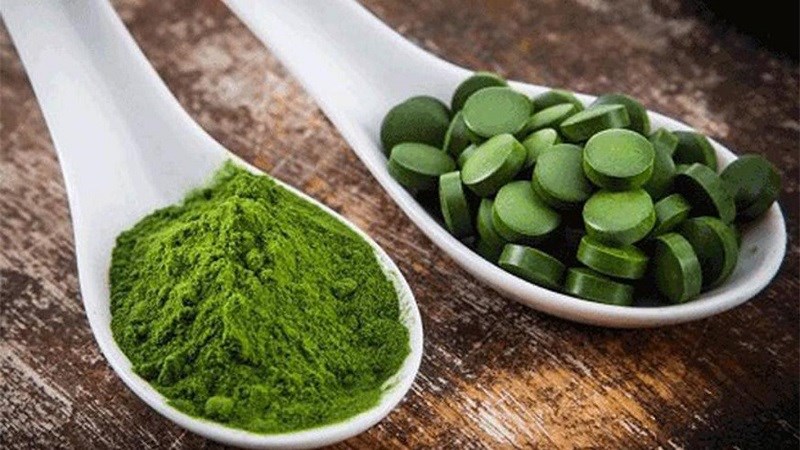 Tảo xoắn Spirulina