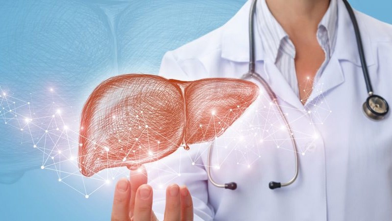 Dâu tằm có tác dụng bảo vệ sức khỏe gan